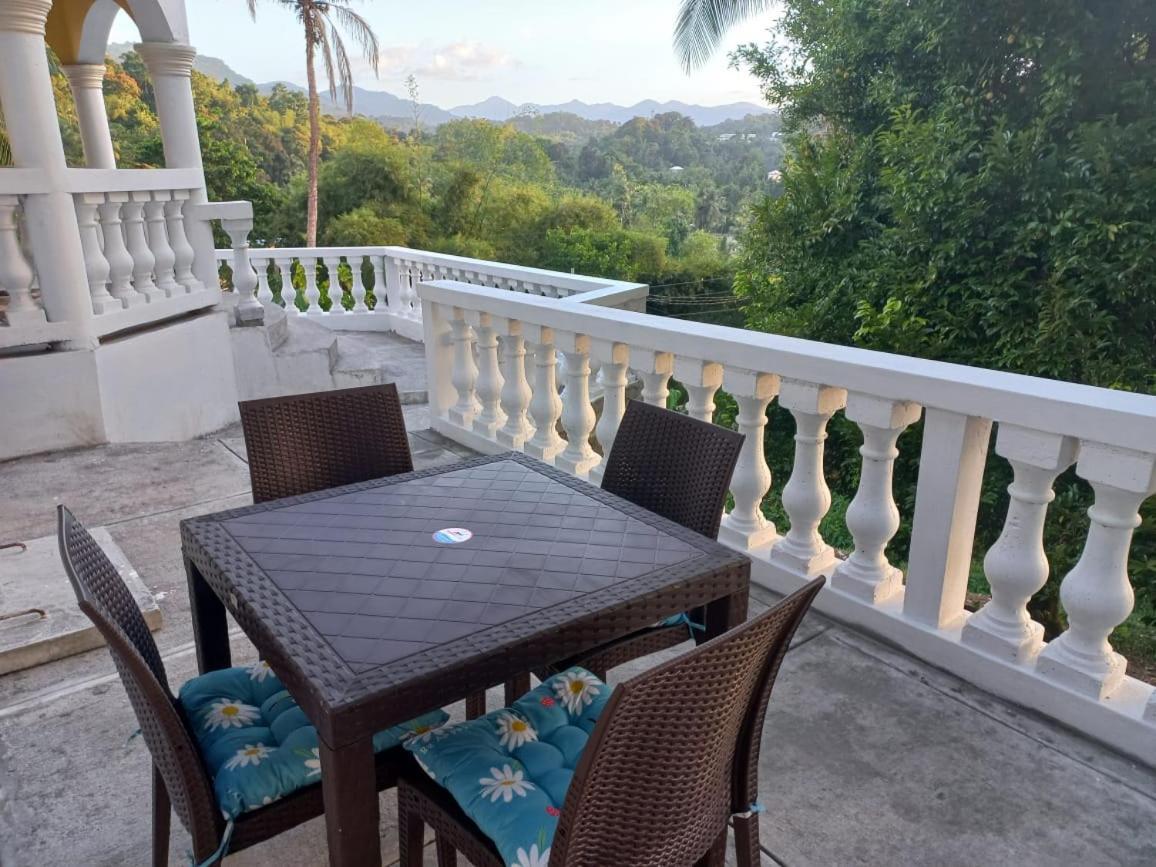 Hotel Red Hassell Manor Port Antonio Zewnętrze zdjęcie